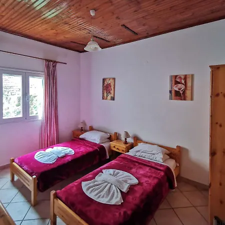 Elena Villa *